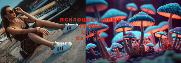 PSILOCYBIN Володарск